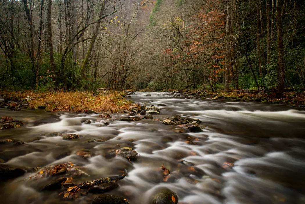 Best Photography Spots in the Great Smoky Mountains National Park