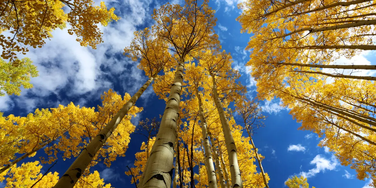 21 BEST PHOTOGRAPHY SPOTS IN COLORADO
