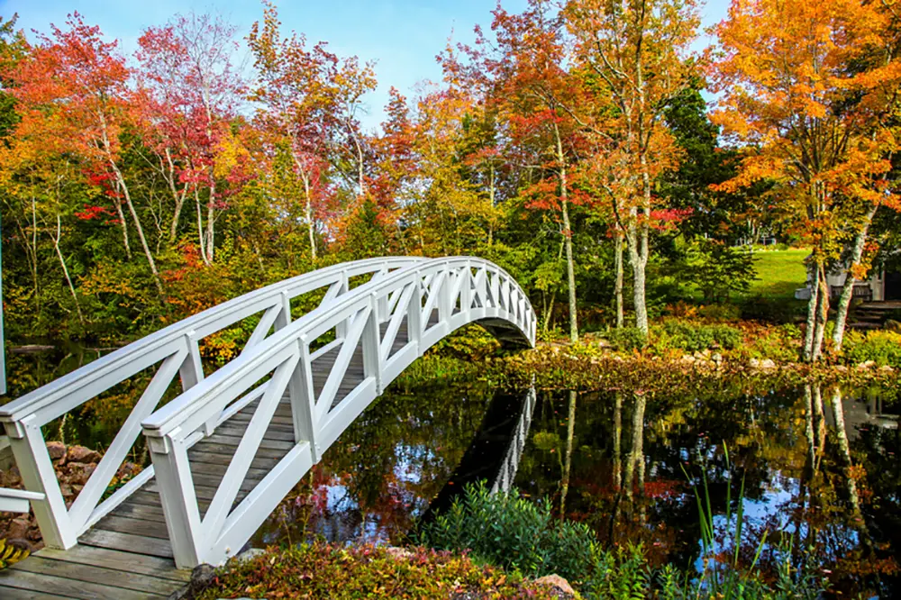In Somesville a white footbridge spans a creek amongst the vibrant foliage