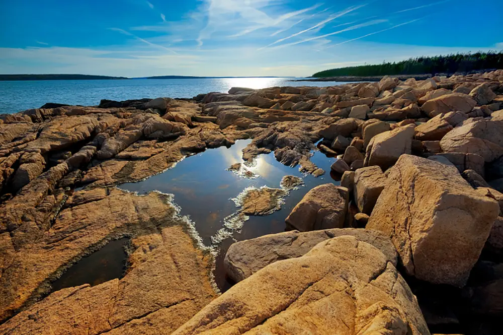Rocky Maine coast pink granite rocks in Acadia national park