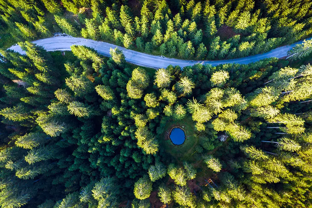 Aerial view over mountain road going through pine forest with small lake. Pokljuka. The best Photography spots in Slovenia