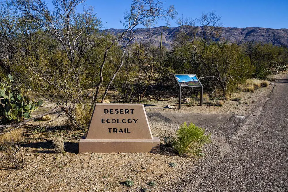 Desert Ecology Trail. Saguaro National Park Best Photography Spots