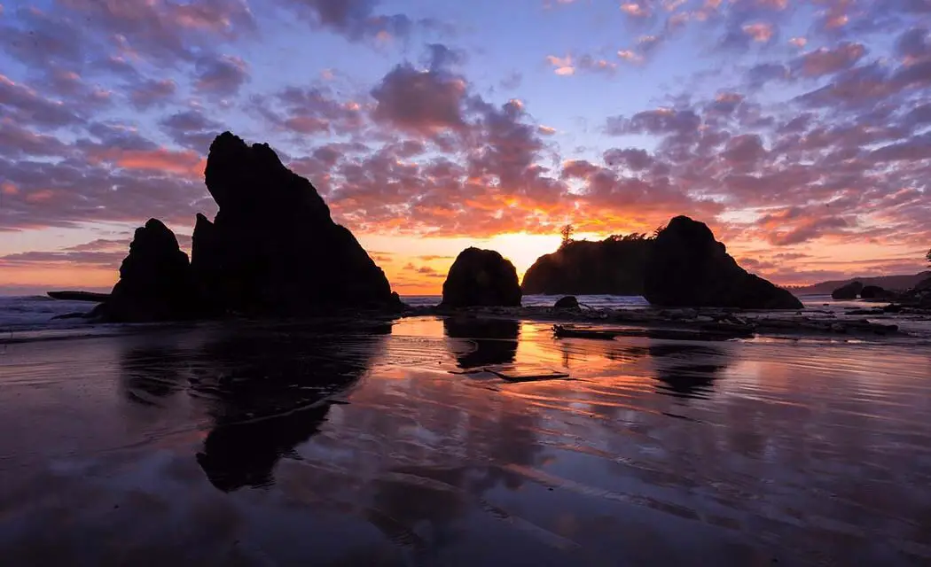 Olympic National Park Best Photography Spots