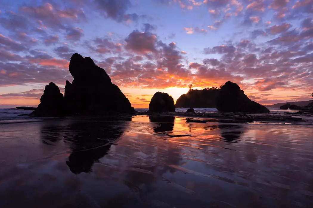 Featured Photo. The best photography spots in Olympic National Park