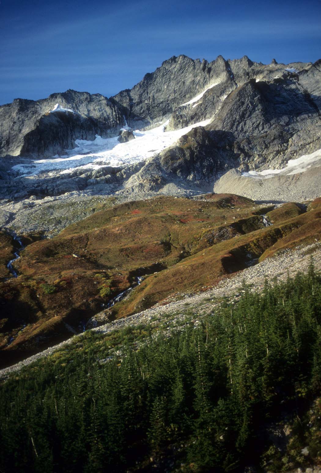 Forbidden Peak.The best Photography spots in North Cascades National Park