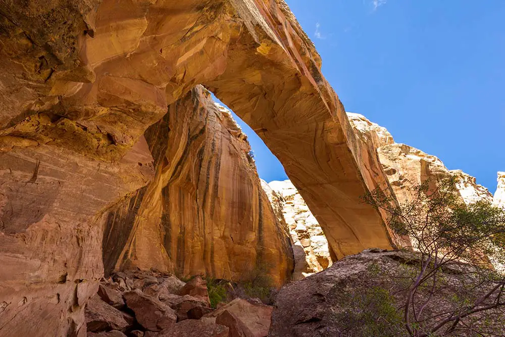 Muley Arch in Muley Twist Canyon. Best Photography Spots in Capitol Reef National Park