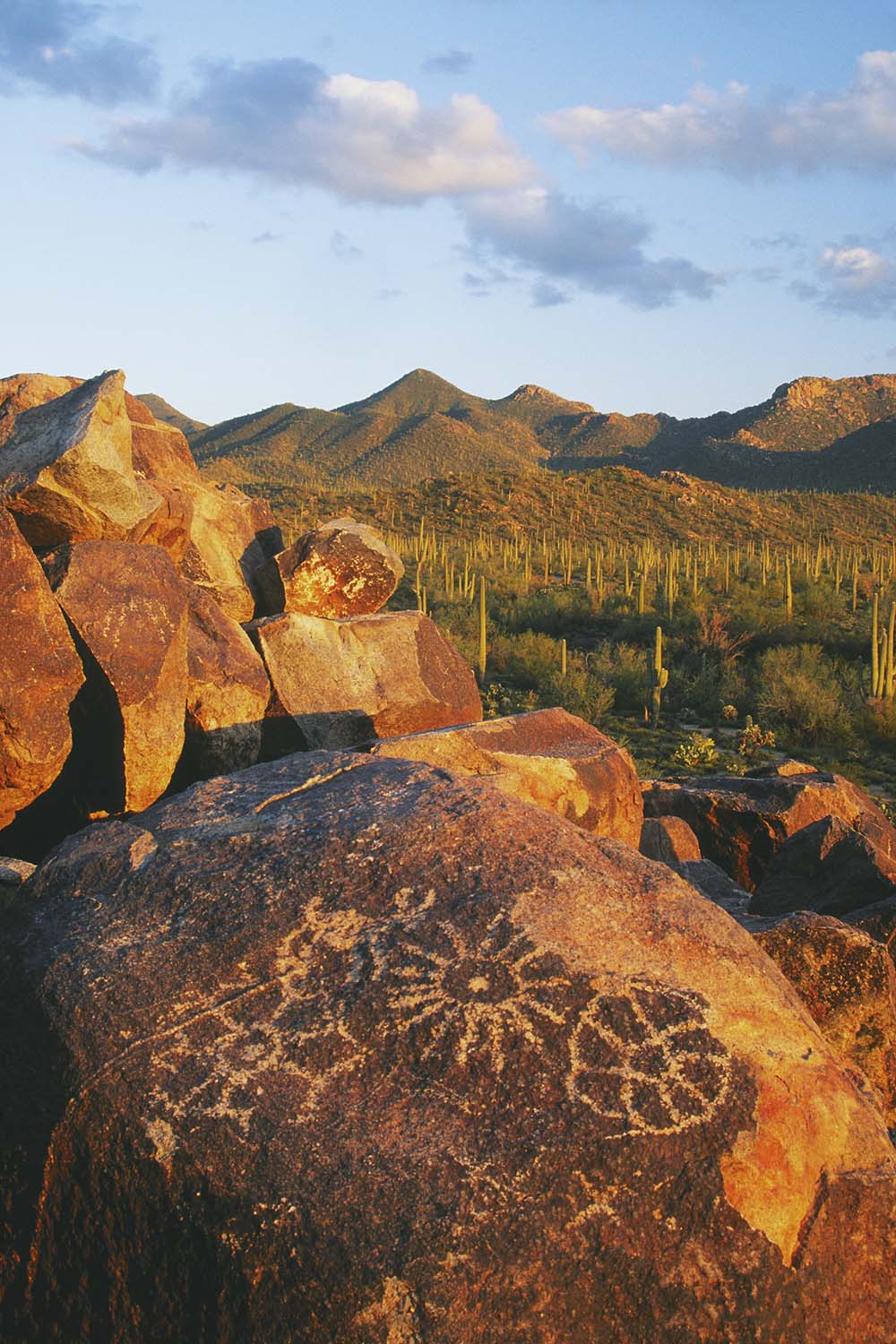 Petroglyphs on Signal Hill with the Tuson Mountaians in the background. Saguaro National Park Best Photography Spots