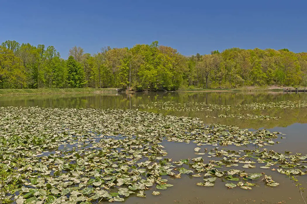 Quiet Kendall Lake on a Sunny Spring Day. Best Places to Photograph Cuyahoga Valley National Park