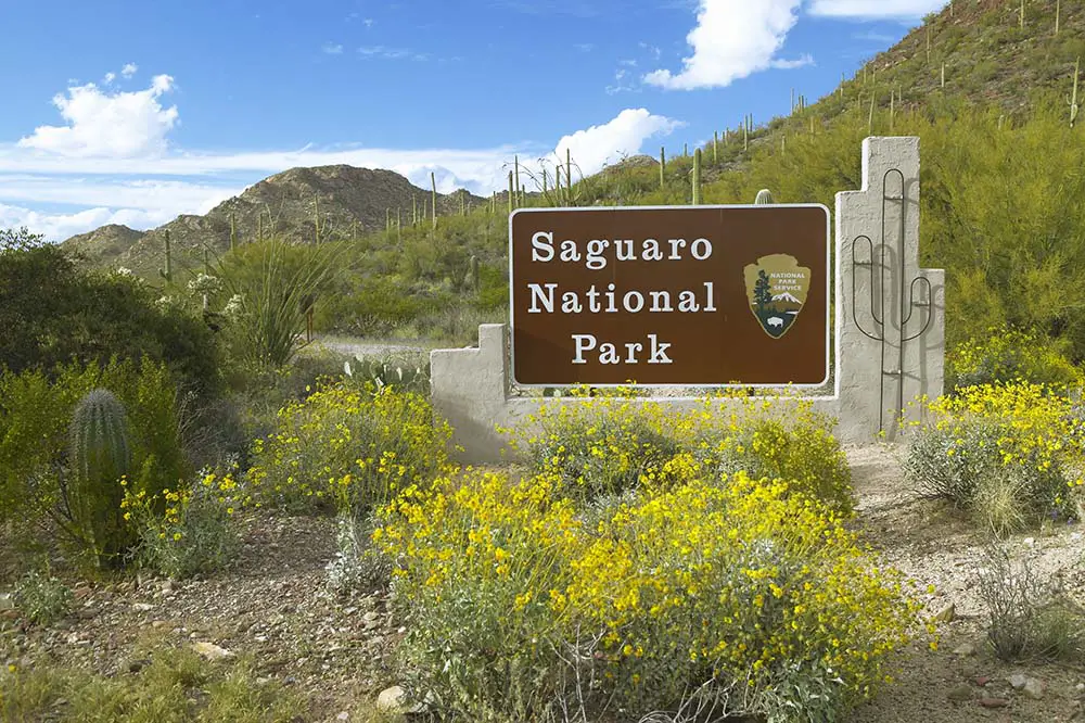 Saguaro National Park West Tucson AZ Welcome Sign features giant Sonoran saguaro cactus