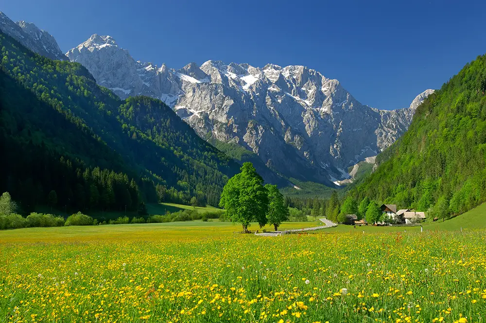 Spring in alpine valley in northern Slovenia.The best Photography spots in Slovenia