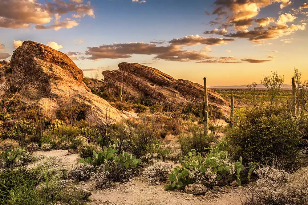 Sunset over Javelina Rocks. Saguaro National Park Best Photography Spots
