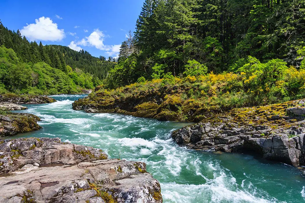 The Elwha River. The best photography spots in Olympic National Park