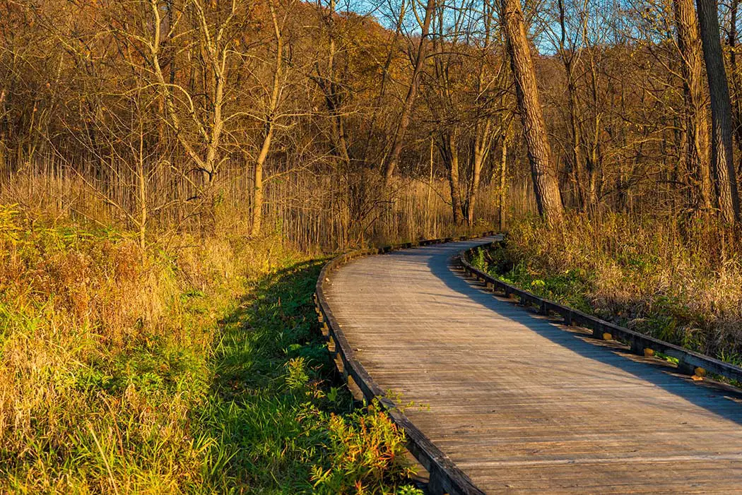 wetland on a raised boardwalk. Best Places to Photograph Cuyahoga Valley National Park