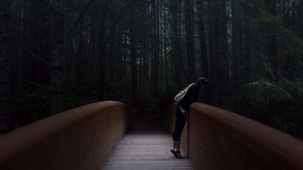 Lady Bird Johnson redwood park. Redwood National Park best Photography Spots