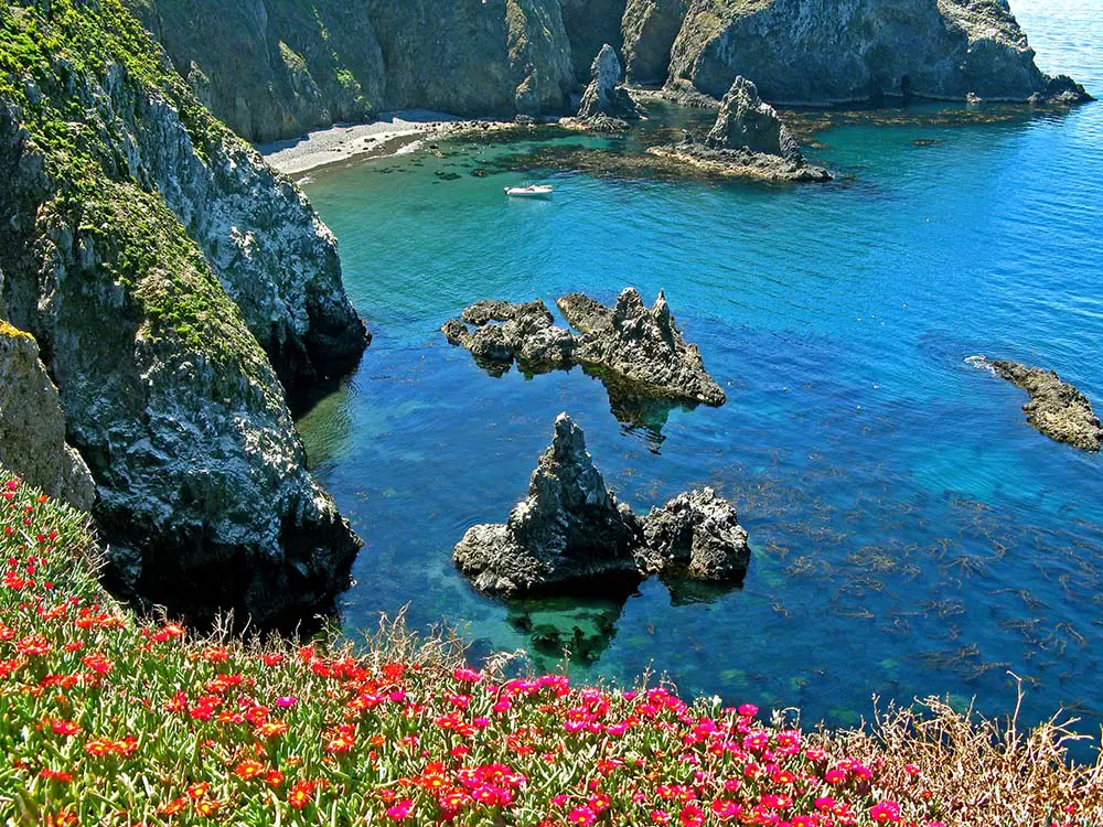 Spectacular cove with wildflowers Anacapa Island. The best Photography spots in Channel Islands National Park