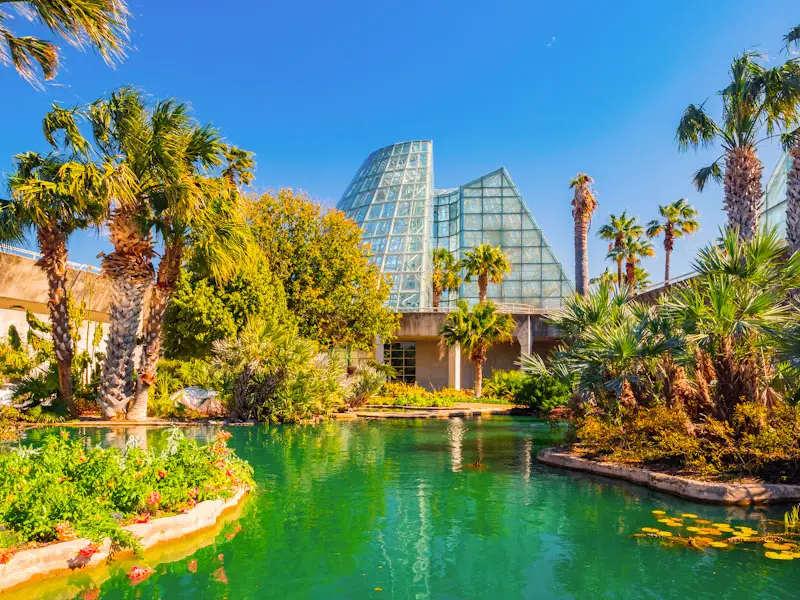 Sunny view of a green house in San Antonio Botanical Garden. Best Photography Spots in San Antonio Texas.