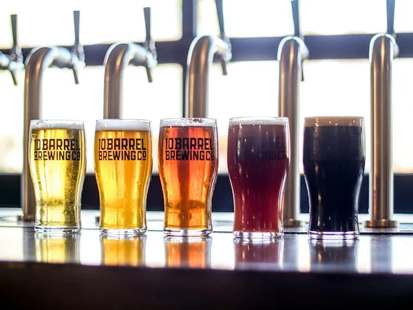 Intuition Ale Works Jacksonville food and brewery tours