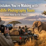 7 Mistakes You’re Making with Wildlife Photography Tours (and How to Fix Them)