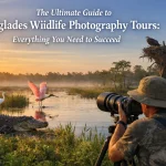 The Ultimate Guide to Everglades Wildlife Photography Tours: Everything You Need to Succeed