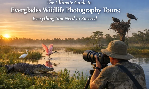 The Ultimate Guide to Everglades Wildlife Photography Tours: Everything You Need to Succeed