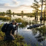 Everglades Wildlife Photography Tours 101: A Beginner’s Guide to Mastering the Swamp
