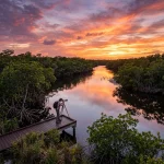 Looking For the Best Photography Locations? Here Are 10 Things You Should Know About the Everglades