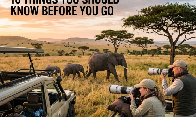 Looking For Wildlife Photography Tours? Here Are 10 Things You Should Know Before You Go