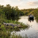 How to Choose the Best Everglades Wildlife Photography Tour (Compared)