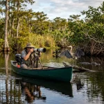 The Ultimate Guide to Everglades Wildlife Photography: Everything You Need to Succeed