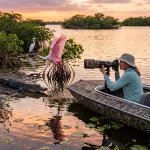 The Ultimate Guide to Florida Wildlife Photo Tours: Everything You Need to Succeed