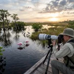 The Ultimate Guide to Everglades Bird Photography: Everything You Need to Succeed on Your Next Tour