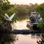 How to Choose the Best Wildlife Photography Tours in the Everglades (Compared)