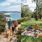 How to Choose the Best Family Activities (Compared: High-Energy vs. Low-Key Days)